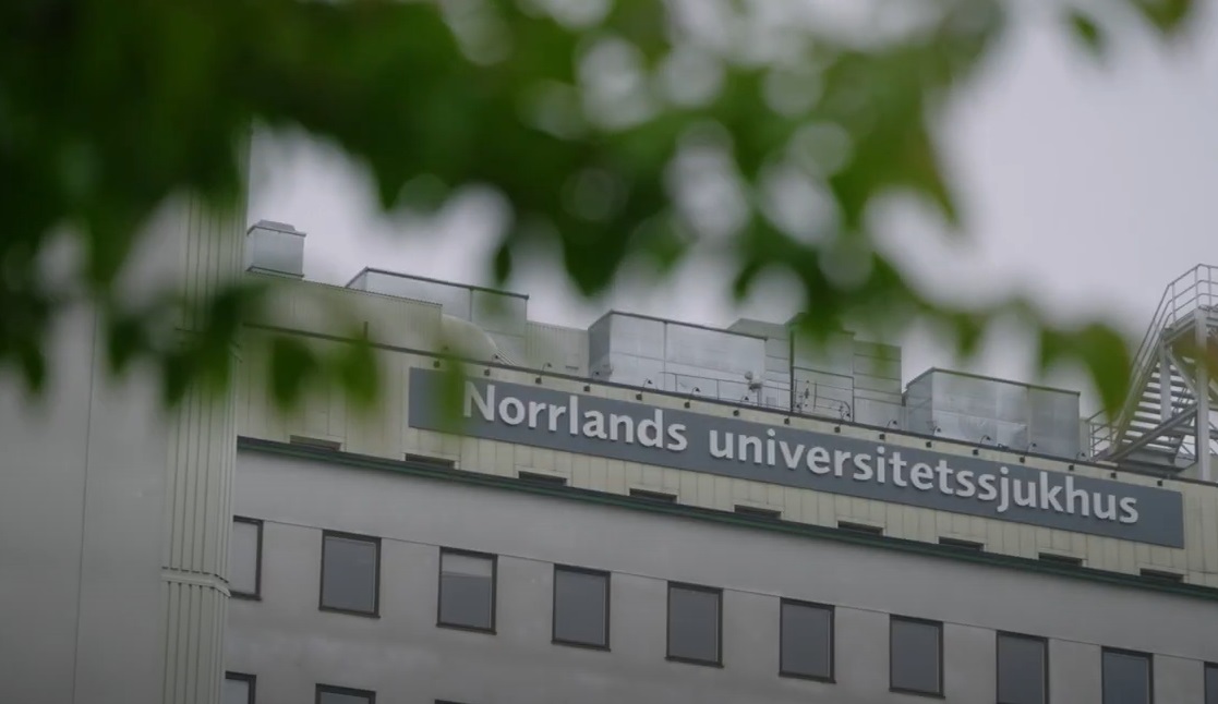 Norrlands universitetssjukhus skymtar bakom en trädgren.